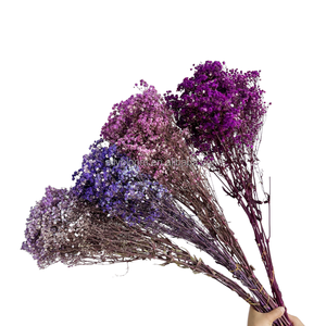 Flor decorativa de Gypsophila de larga duración para bebés, flores de Gypsophila <span class=keywords><strong>eterna</strong></span> preservada, respiración al por mayor - Product Image 3