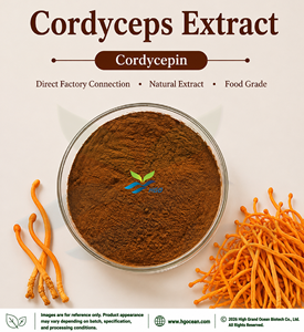 Suministro Directo de Fábrica HGO, Extracto Herbal Puro y Natural de Micelio de Cordyceps (Grado Alimenticio), Cordicepina 8% - Product Image 1
