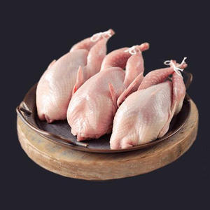 เนื้อนกพิราบแช่แข็งคุณภาพสูง เนื้อนกพิราบพรีเมียมสำหรับส่งออก ขายส่ง - Product Image 5