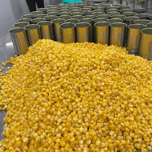 Lichis Enlatados en Almíbar al MEJOR PRECIO, Listos para Exportar en Grandes Cantidades, de Proveedor Vietnamita - Product Image 2