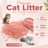 Fournisseur en gros de litière pour chat en tofu OEM avec emballage de marque personnalisé pour les importateurs, distributeurs et détaillants mondiaux