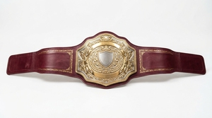 Ceinture de championnat de lutte personnalisée en métal, trophée sportif plaqué or et argent, design personnalisé - Product Image 3