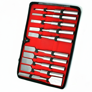 ชุดเครื่องมือผ่าตัดกระดูกฮิบส์ โอสเตโอโทม 10 ชิ้น คุณภาพระดับ A+ - Product Image 1