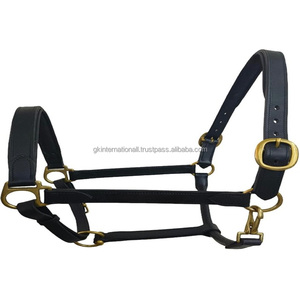 Equipo Ecuestre de Cuero Personalizado, Duradero, Cosido y Acolchado, Cabestro para Carreras de Caballos con Herrajes de Latón Resistentes - Product Image 2