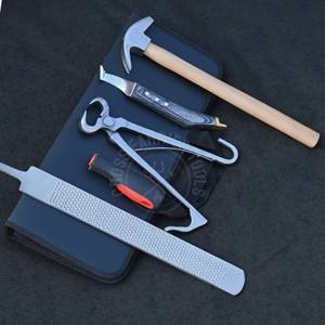 Kit de Herramientas para Herrador con Alicates para Recortar Pezuñas de Potros, Cuchilla para Pezuñas con Punta de Latón, Martillo de Herrar y Lima de Acabado para Pezuñas con Estuche - Product Image 6