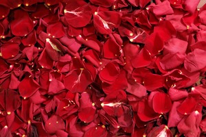 Fleurs de rose séchées sélectionnées du Vietnam avec des pétales vibrants pour les mélanges de pot-pourri, les artisanats faits à la main, la décoration d'événements, les paniers-cadeaux - Product Image 2