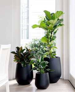 Pot de jardin contemporain en fibre de verre, grand bac décoratif pour balcon, terrasse, aménagement paysager intérieur et extérieur - Product Image 5