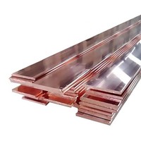 Barre omnibus en cuivre C11000 5mmx100mm à faible teneur en oxygène, durable pour un fonctionnement électrique stable à long terme, système de drainage, toiture