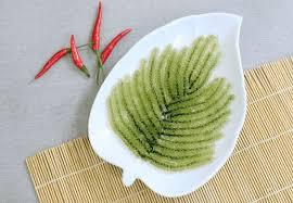 Uvas de Mar Verdes Premium para Exportación - Product Image 2