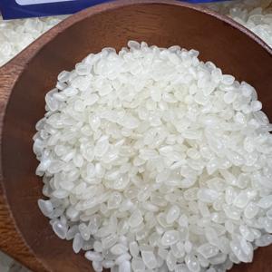 Huile de riz Japonica polie, Riz Calrose, Riz Camolin, Riz égyptien, Riz à grains ronds - Product Image 4