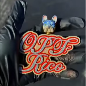 จี้เพชรโมอิสซาไนต์ VVS แบบกำหนดเองได้ พร้อมชื่อและตัวอักษร  ทำจากเงินแท้ 925 ชุบทอง  เครื่องประดับฮิปฮอป ได้รับการรับรองจาก GRA สำหรับทุกเพศ - Product Image 1