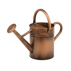Metal Garden <b>Watering</b> <b>Can</b> with Long Spout and Dual Handle, Durable Metal Plant <b>Watering</b> Pot with Sprinkler Head for <b>Indoor</b> Plant - Product Image 6
