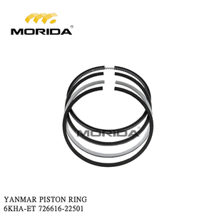 Pistón 719595-22720 6LY2 para YANMAR - Product Image 1