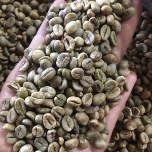 Bulk Premium OEM/ODM Jute Bag PP Bags Robusta Coffee Bean High Ripeness Rate <b>Raw</b> <b>Material</b> Perfect Bulk Supply - Product Image 1