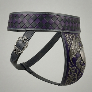 Protège-aine pour la boxe, le Muay Thai et le kickboxing – Équipement de protection pour les arts martiaux – Design élégant, mousse trempée unique et confortable - Product Image 3