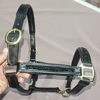 Harnais de cheval en cuir véritable de qualité supérieure, style anglais occidental, durable, réglable, personnalisable en taille et logo AL