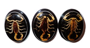 Escorpión Dorado, Espécimen Real, Cabujón de Plástico Ovalado de 31x41 mm, Base Plana Negra para Manualidades y Joyería - Product Image 2