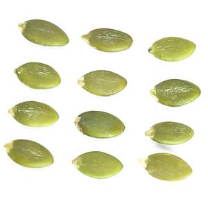 Graines de citrouille de Styrie brutes en gros - Product Image 6