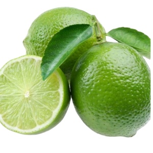มะนาวเขียวมะนาวสดไร้เมล็ดมะนาวสดไร้เมล็ดสำหรับการส่งออก - Product Image 1