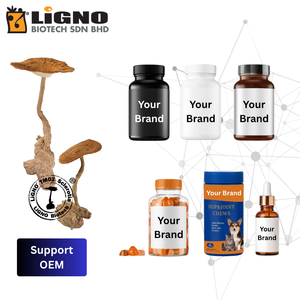 LiGNO Biotech TM02 Lignosus Rhinocerus Sclerotium, Polvo de Hongo Seco en Frío de Grado Alimenticio para el Cuidado de la Piel y Nutracéuticos - Product Image 6