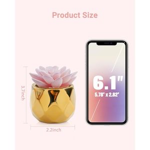 Vasi in Ceramica Rosa Dorata con Piccole Piante Succulente Artificiali, Decorazioni Natalizie per Interni, Frutta Natalizia in Ceramica Dorata - Product Image 3