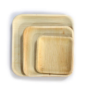 Assiettes en feuilles de palmier pressées écologiques avec vaisselle jetable pour restaurants durables, traiteurs et événements spéciaux - Product Image 5