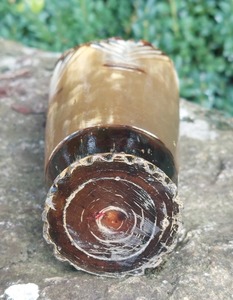 Auténticas Copas de Chifre Vikingas Modernas para Beber, Hechas a Mano, Talladas, Ecológicas, de Chifre de Búfalo, para Decoración del Hogar - Product Image 6