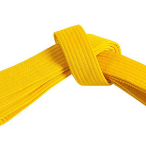 Ceinture de karaté sur mesure multicolore de haute qualité 2026, brodée avec votre propre logo – Équipement d'arts martiaux de grande valeur à faible coût - Product Image 6