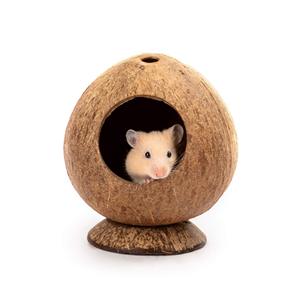 Offre Spéciale : Niche pour animaux de compagnie en coquille de noix de coco naturelle du Vietnam – Nid suspendu et cachette écologiques pour oiseaux, hamsters et petits animaux (vente en gros) - Product Image 3