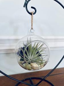 Terrarium suspendu en verre rond pour plantes d'intérieur, succulentes, mousse, décoration de la maison, présentation en vitrine et aménagement de jardin, provenant d'Inde - Product Image 4