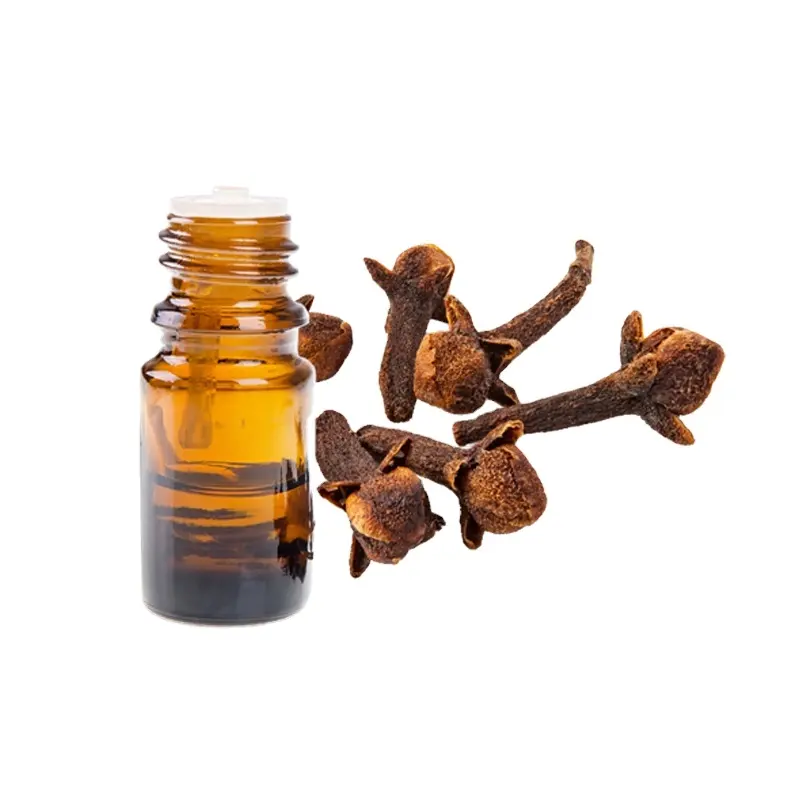 Best Seller 100% Natural Organic Clove Oil Clove Essential Oil