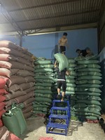 Café Robusta Torréfié du Vietnam de Qualité Supérieure, Nouvelle Récolte 2025, Emballage en Sac de Jute, Expédition Rapide depuis le Vietnam +84 969615235
