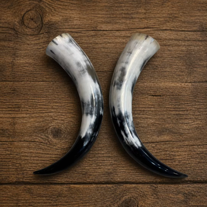 Authentiques cornes de bœuf véritables, cornes de taureau, paires de cornes de téméridés, finition polie, cornes brutes en paires aux prix les plus bas - Product Image 1