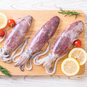 Calamar Congelado Premium U3, Pesca con Anzuelo, <2% de Azúcar, Nutritivo, en Envase de Frasco de Vidrio - Product Image 4