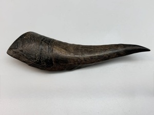 Cuerno de Cabra Pulido con Acabado Natural, Ecológico, Rústico, Nuevo, de Alta Calidad para Decoración y Manualidades - Product Image 2