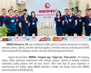 Fábrica de Vietnam OEM OMINSU T2 Interruptor doble 5A 250V con indicador de brillo y carcasa de ABS fuerte - Product Image 5