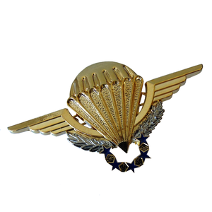 Badge en émail personnalisé avec des ailes et des anneaux, design circulaire en métal, attache à épingle de sécurité sans nickel - Product Image 2