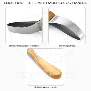 มีดตัดแต่งกีบม้า Loop Hoof Knife J2 สแตนเลส พร้อมด้ามไม้ ขนาดใหญ่ 2 นิ้ว 8 นิ้ว เครื่องมือตัดแต่งกีบม้า - Product Image 5