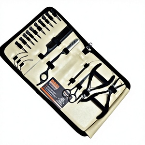 Outils de coiffure, couleur noire, acier inoxydable, kit d'outils pour extensions de cheveux avec pinces, ciseaux, clips et boucles pour usage en salon - Product Image 2