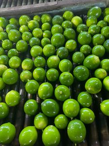 Citrons verts sans pépins du Vietnam : saveur fraîche, forte teneur en jus, taille uniforme, prix compétitif, approvisionnement mondial fiable, livraison en 45 jours - Product Image 3