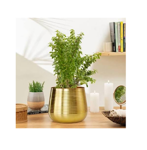 Gold Brass Planter Pot <b>Garden</b> Supplier Pots Unique Design Brass Flower Pot and Planter Elegant Decorative Flower Pot - Product Image 3