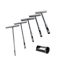 Ensemble d'extracteurs de vis orthopédiques de haute qualité, poignée en T, acier inoxydable allemand, réutilisable, autoclavable, instruments chirurgicaux CE