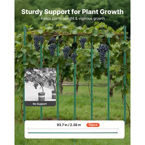 Confezione da 10 Pali per Pomodori in Metallo Rivestito in Plastica da 238 cm, Attrezzi da Giardino per Supporto Piante con Punta Affilata - Product Image 5
