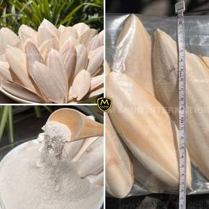 Hueso de Sepia Seco de Alta Calidad - Calcio Natural para Aves, Mascotas y Alimento Animal - Product Image 3