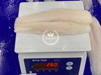 Filet de Pangasius Hypophthalmus du Vietnam surgelé, processus de congélation LQF, nutritif, 80% NW, certifié HALAL, sac de 1 kg, TAKIMEX Seafood