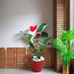 หม้อทรงสี่เหลี่ยมขนาดสั้น18นิ้วทำจากพลาสติกขายดีสำหรับตกแต่งบ้านและสวน - Product Image 3