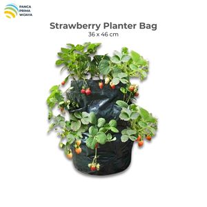 High Quality 8 Pocket <b>Strawberry</b> Planter Bag 36x46cm HDPE Woven Fabric Vertical Garden Growing <b>Pot</b> Green - Product Image 1