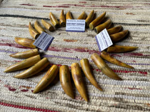 Cuerno de Búfalo Natural Ecológico, Pulido, con Punta Quemada, Rústico, para el Año Nuevo Chino, de Alta Calidad - Product Image 3