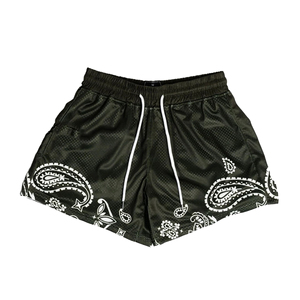 Pantalones Cortos de Baloncesto con Malla Gráfica de Calidad Premium Personalizados, Nuevo Estilo Vintage de Moda para Unisex, Ropa de Verano - Product Image 3