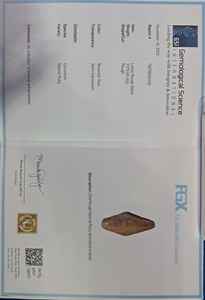 Rubí Natural en Bruto de Kenia, Minas Femos John Saul, 1579 Quilates, Tamaño Más Grande, 10 USD/Quilate - Product Image 3